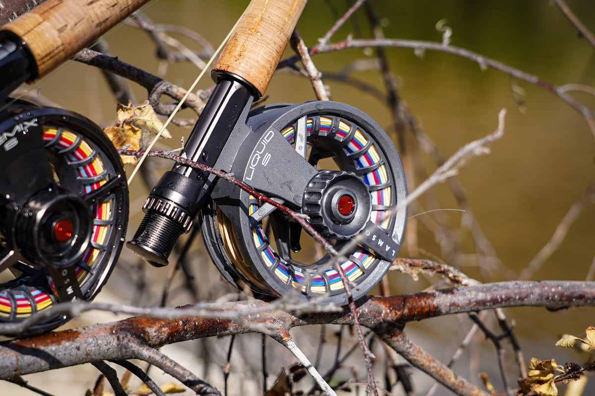 Reels
