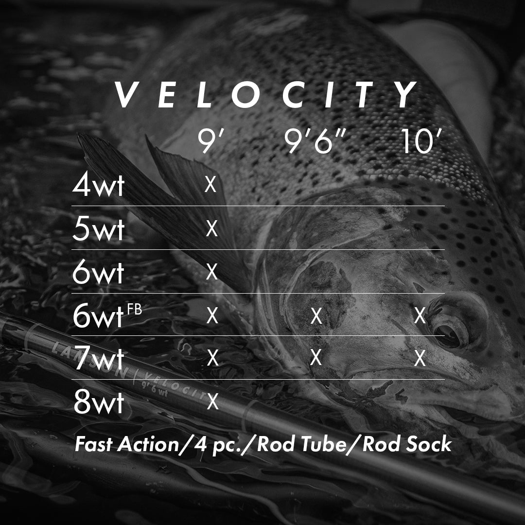 Velocity